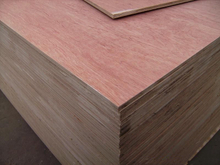  two times hot press quality Plywood
