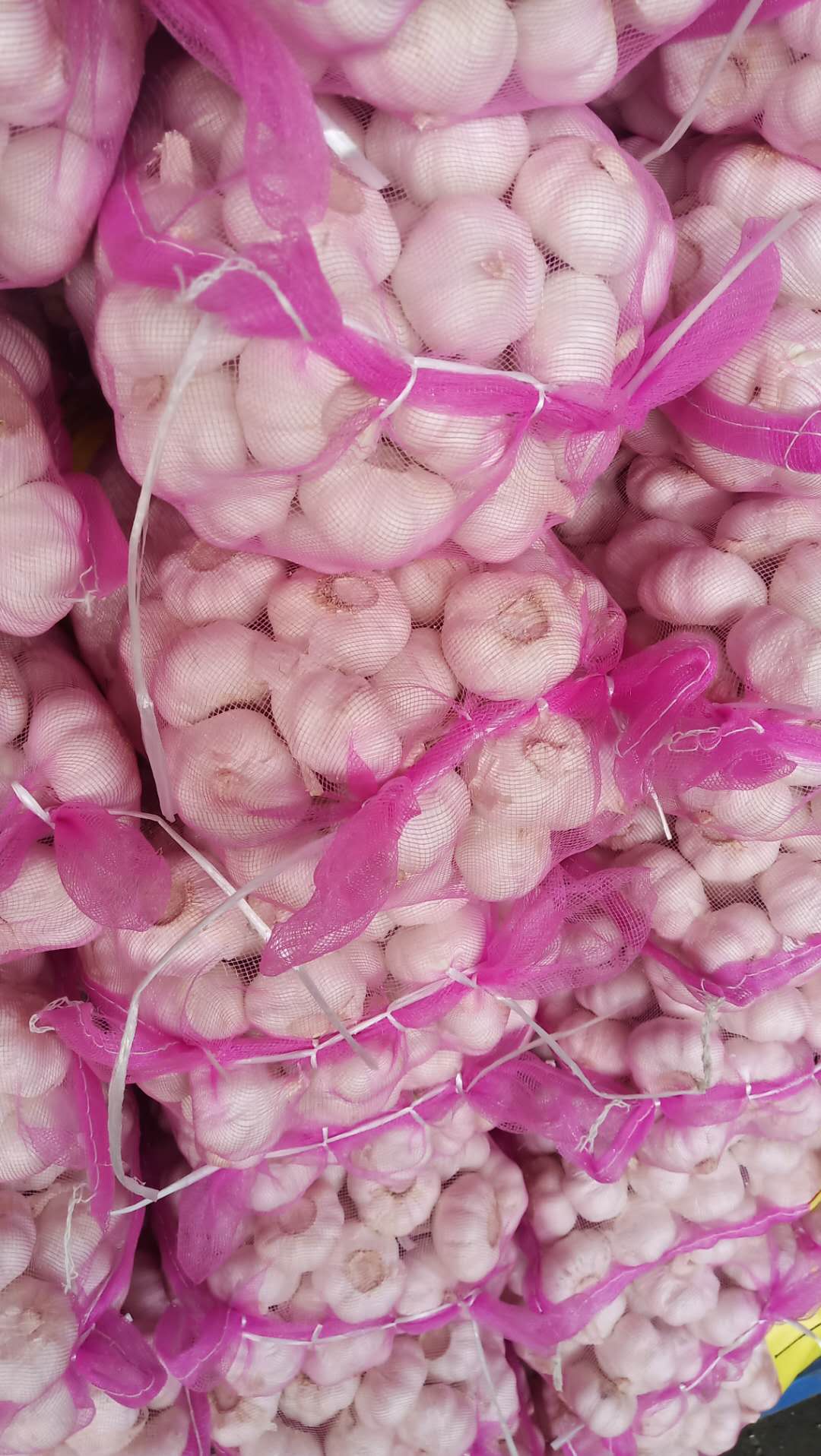 2020 China Fresh Pure White Garlic Export Garlic Bulb Price