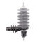 Lightning Arrester10kv