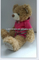 Cute Plush Singing Teddy Bear Custom Talking Dolls Custom Made Stuffed Musical Animal Toy