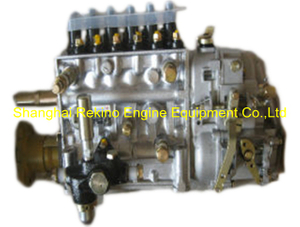 BP12S6 612601080580 Longbeng fuel injection pump for Weichai WD615