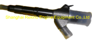 0445120344 612640080022 common rail fuel injector for Weichai WP12