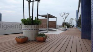 Am&eacute;nagement d&eacute;coratif imperm&eacute;able &agrave; l'eau de jardin de la bonne qualit&eacute; WPC