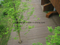 Suelo pl&aacute;stico de madera del Decking del compuesto WPC del color natural para el jard&iacute;n