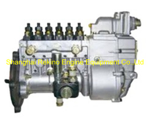 BP20010 612601080754 Longbeng fuel injection pump for Weichai WP10