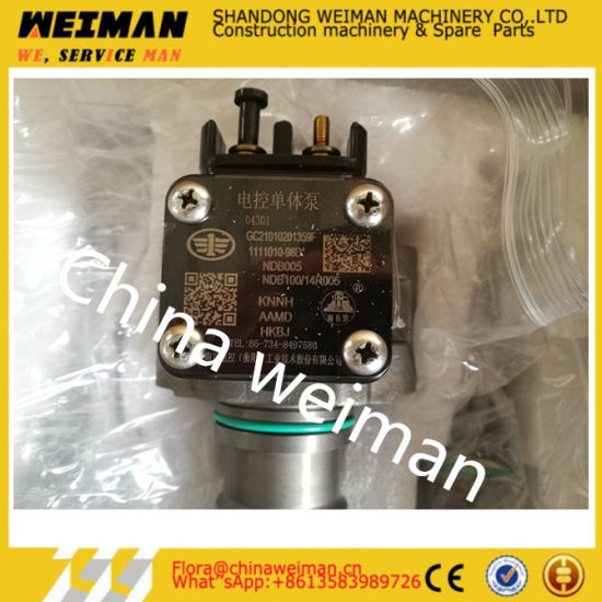 Fuel Injection Pump (unit pump) 4110001009024 Shandong Lingong