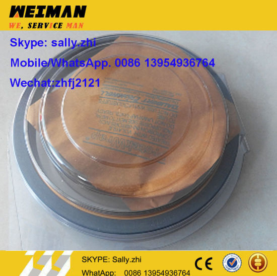 Crankshaft Rear Oil Seal C02CB-4W0452+A/C02CB-9y9895+a for Shangchai Engine