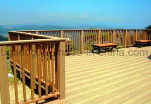 Suelo al aire libre impermeable respetuoso del medio ambiente de gama alta del Decking de WPC
