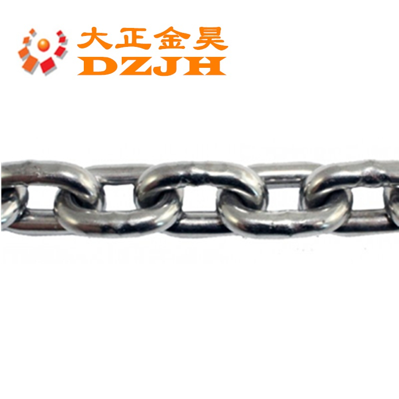 Stainless Steel Link Chain For Goose Slaughter Line
