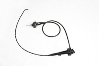 Vet Flexible Endoscope Video Gastroscope