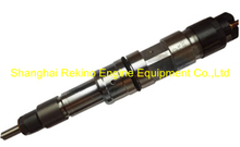 0445120087 612630090008 common rail fuel injector for Weichai WP10