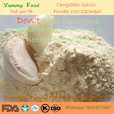 China Premium Dehydrated Garlic Powder 80-100 Mesh