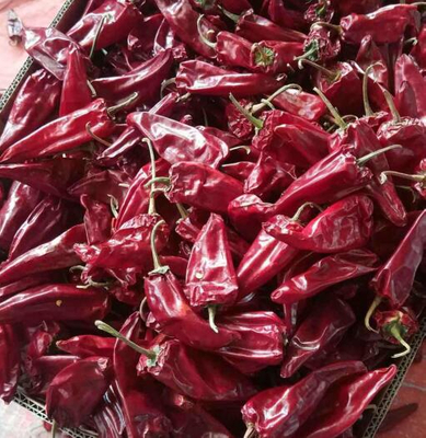 Top Rated Hot Red YIDU Chilli
