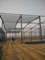Constructions structurales en acier &eacute;conomiques de la Chine/entrep&ocirc;t/atelier en Am&eacute;rique du Sud
