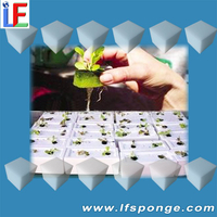 sponge ink cultivation soilless printer absorb