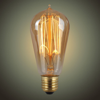 Brass Base Material and 25W-60W Power Vintage Bulb