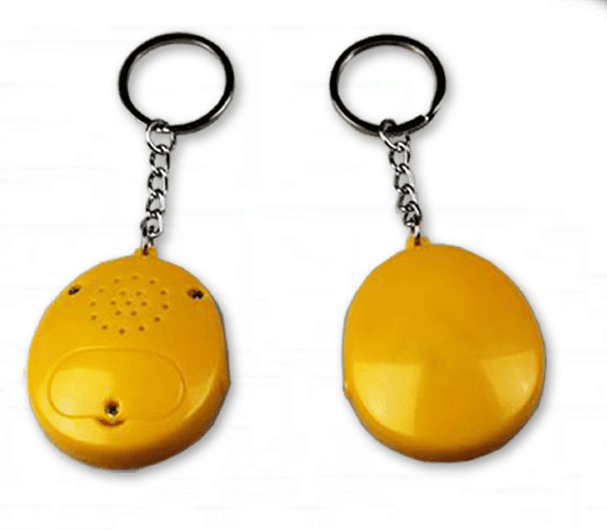 Digital button speaker keychain for kids or promotion