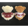 Newest Custom Plush Couple Teddy Bear with Sweater