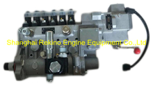 BP51D2 13054650 Longbeng fuel injection pump for Weichai WP6D158E201
