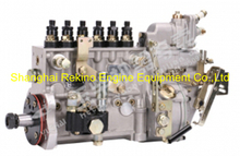 BP5189R A5000-1111100-C27R Longbeng fuel injection pump for Yuchai YC6108ZLQB