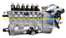 BP6139 BHT6P9150L6115 Longbeng fuel injection pump for Zichai Z6170ZLCZ-4