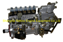 BP11D2 612600081229 Longbeng fuel injection pump for Weichai WD615