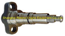 Longbeng ZS576 injection pump plunger element