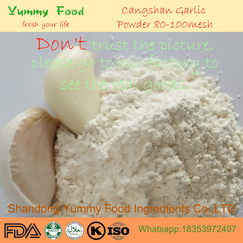 2018 Air Dried Garlic Powder 100-120mesh