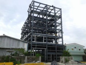 Edificio de acero del braguero de los suelos del edificio multi respetuoso del medio ambiente de la estructura de acero