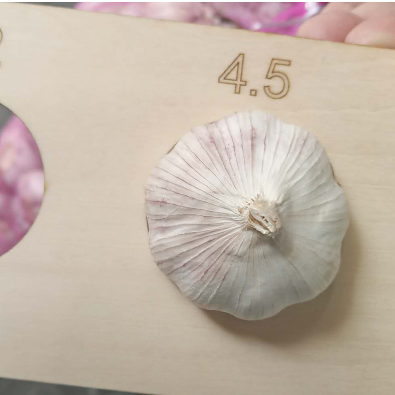 2020 crop Chinese harvest Fresh Garlic Company Manufacturers Wholesales Garlic Price