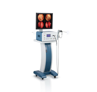 CCD Camera with 17&quot; LCD Monitor Endov-150L