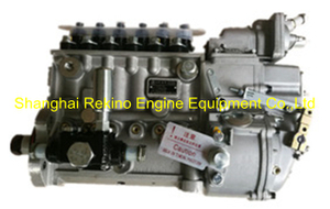 BP5A92 612600081253 Longbeng fuel injection pump for Weichai WD615
