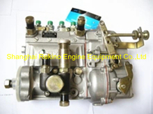 13021223 10400874053 BYC fuel injection pump for Weichai TD226B-4D (WP4D)