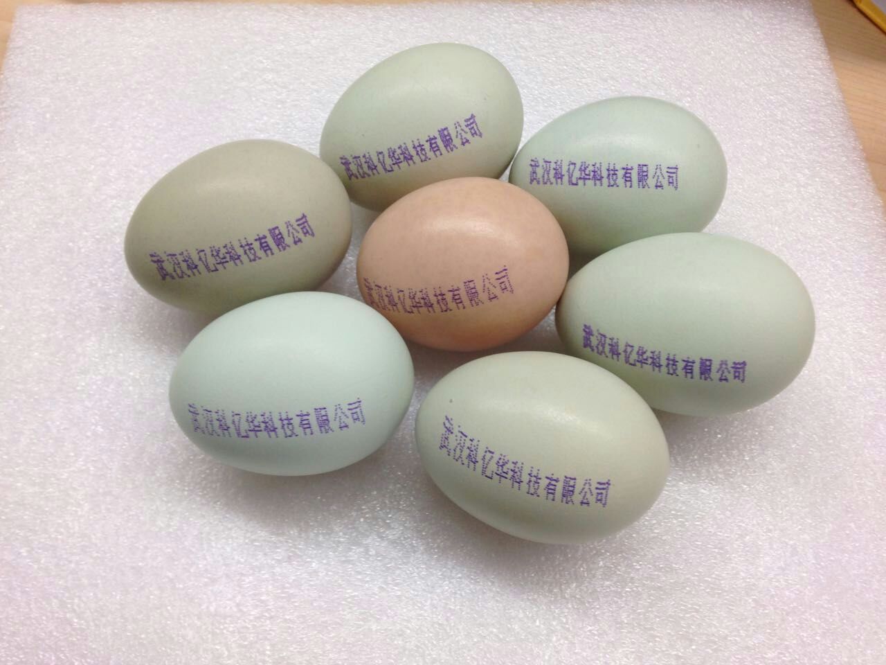 可食用墨水在鸡蛋上的使用——武汉科亿华鸡蛋喷码墨水安全、无毒
