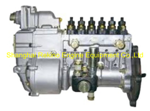 BP20036 612601080775 Longbeng fuel injection pump for Weichai WP10D200E200
