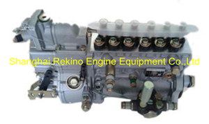 BP20026 612601080780 Longbeng fuel injection pump for Weichai WP10D264E201