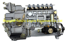 BP12A8 13035388 Longbeng fuel injection pump for Weichai WP6G125E333