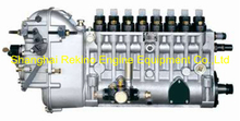 BP6821A 8170Z.31.00 Longbeng fuel injection pump for Weichai 8170ZCA
