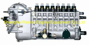 BP6821A 8170Z.31.00 Longbeng fuel injection pump for Weichai 8170ZCA