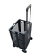 Extra Capacity Plastic Folding Shopping Cart (FC404C)