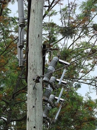 Surge Arrester Distribution 11kv