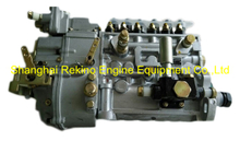 BP20060 612600083278 Longbeng fuel injection pump for Weichai WD12C300-15