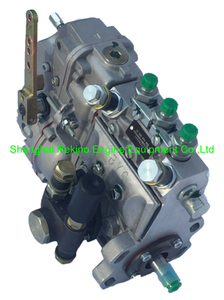 2232426KY 10400873003 BYC fuel injection pump for Deutz F3L912 