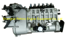 BP6642 616067090000 Longbeng fuel injection pump for Weichai R6160ZC450-1 WHM6160C450-1