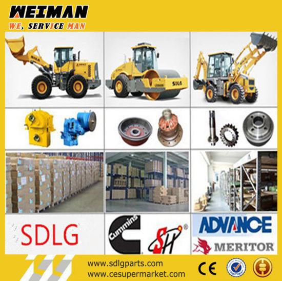 Made in China Sdlg Wheel Loader Spare Parts