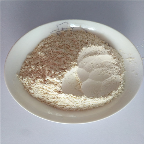 烘干脱水大蒜粉