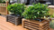 Cadre augment&eacute; par DIY recyclable fait sur commande de rue d'&eacute;preuve de rouille/usine de jardin/stationnement WPC