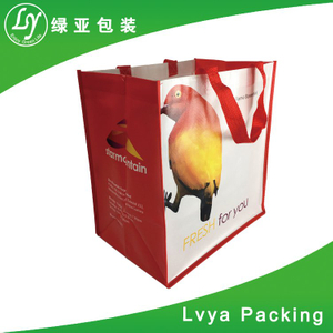 Top quality High quality New style new style lady's shopping bags