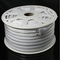 110V 220V high voltage 2835 led neon light
