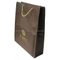 Non Woven Bag With Jute Handle (LYP11)